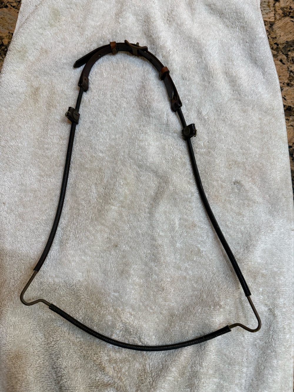 Equestrian Tack : Arabian Show HALTER for showing equestrian classes